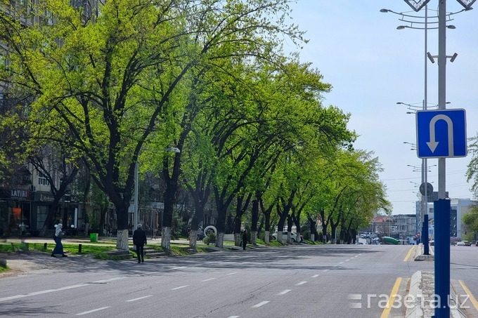 Ўзбекистонда автомобиль йўллари ҳақидаги янги қонун